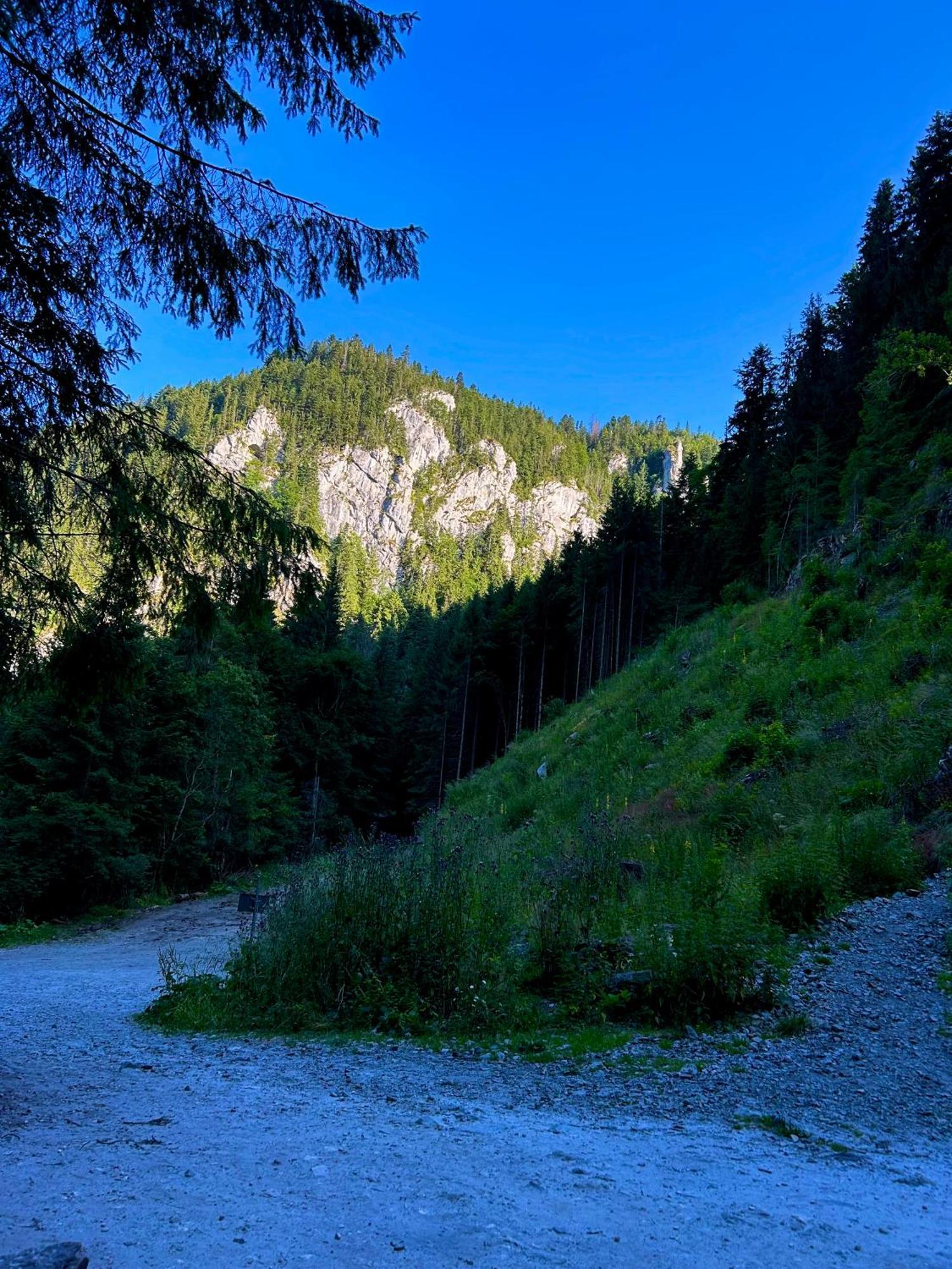 Green Mountain Resort Scrind-Frasinet ภายนอก รูปภาพ